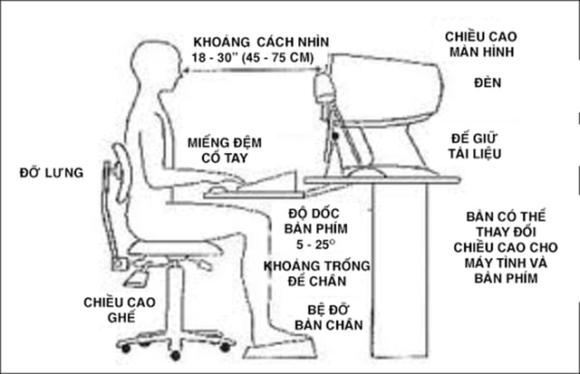Chọn tư thế ngồi đúng cho dân văn phòng để loại bỏ đau lưng (Nguồn: Internet)