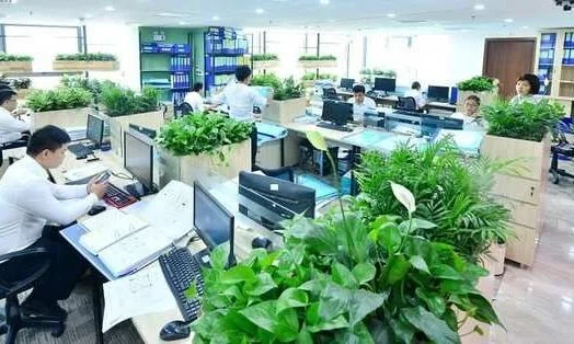 Văn phòng xanh là gì?