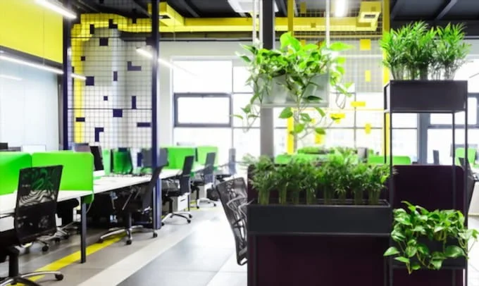 Thiết kế văn phòng mầu xanh lá cây mang tới nhiều năng lượng