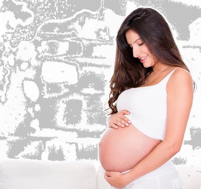 Đơn xin nghỉ thai sản và những thông tin cơ bản cần biết