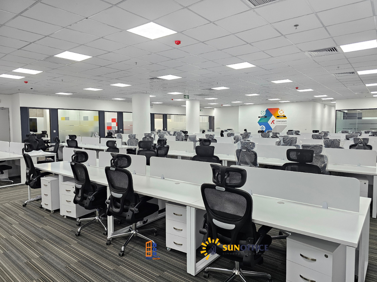 Thi công văn phòng Ave Point