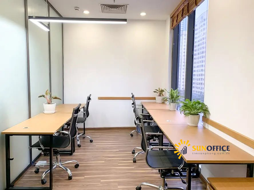 Hanoi Office Golden Palm